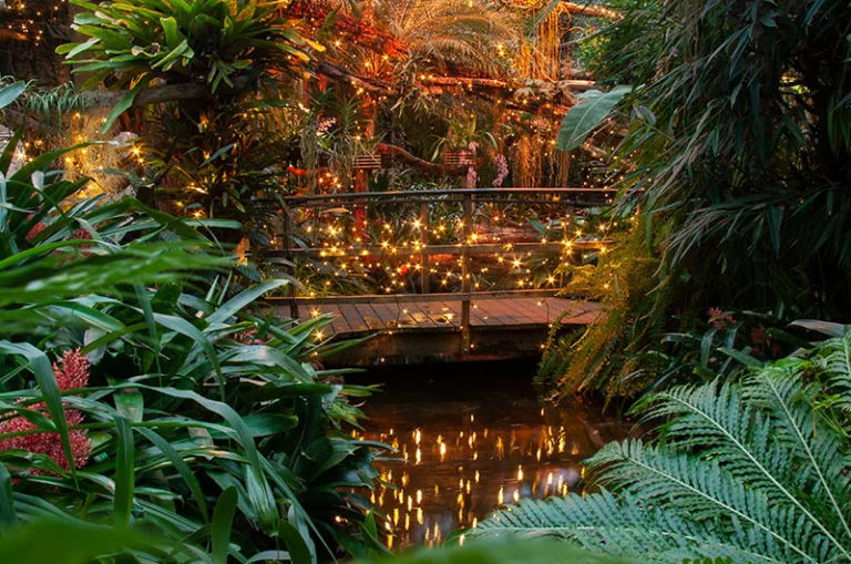 Winterdroom Pantropica te Luttelgeest - Afbeelding 3