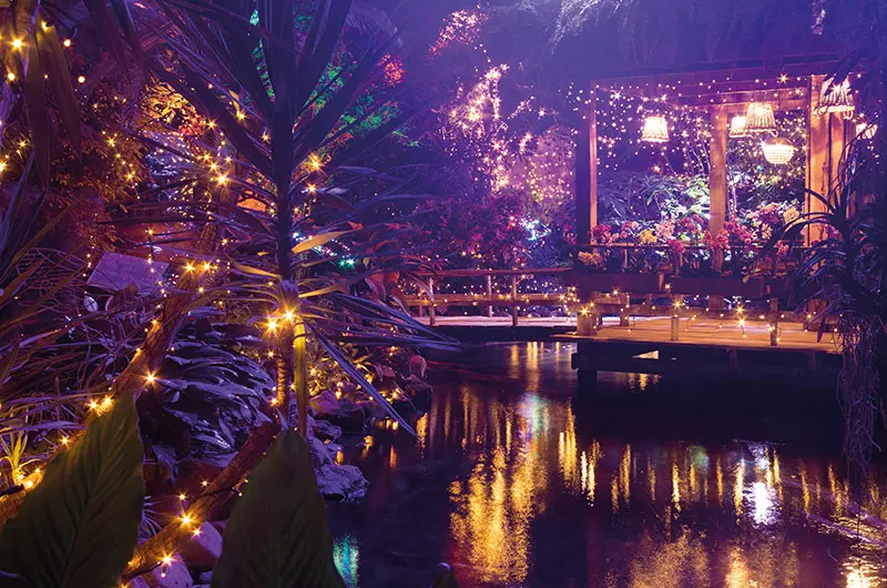 Winterdroom Pantropica te Luttelgeest - Afbeelding 4